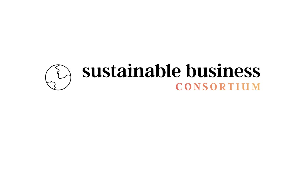 Logo adapted for Hudle